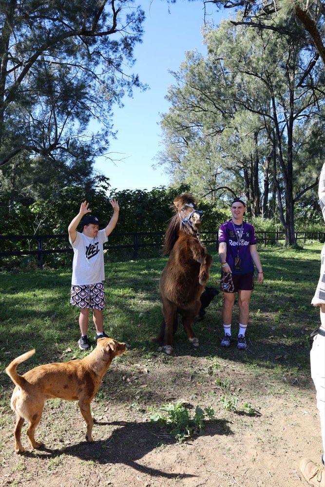 Day at the farm