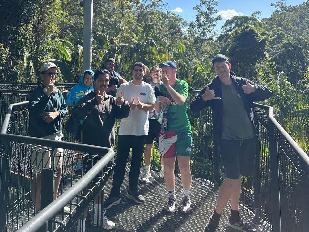 Mates on a treetop walk in the rainforest